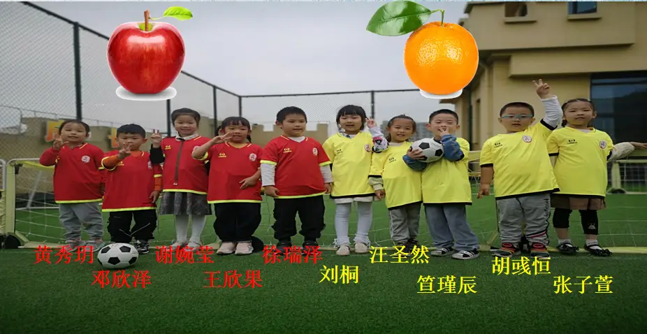 足球规则视频教学视频_足球谁先动游戏规则_足球规则教案全集