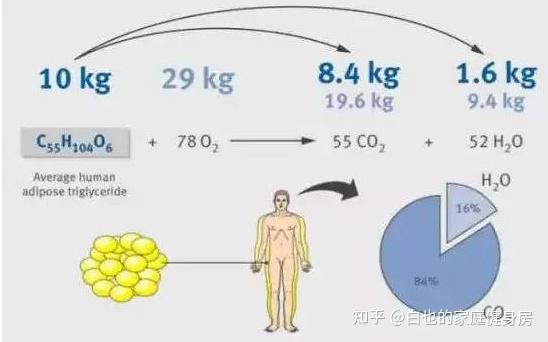 椭圆运动机构_椭圆运动机械结构_运动椭圆机