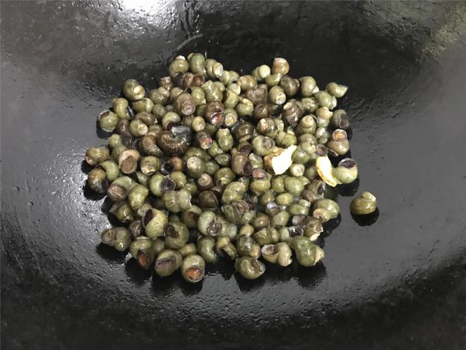 螺蛳的生活技巧_螺蛳是如何进食的_螺蛳怎么生活