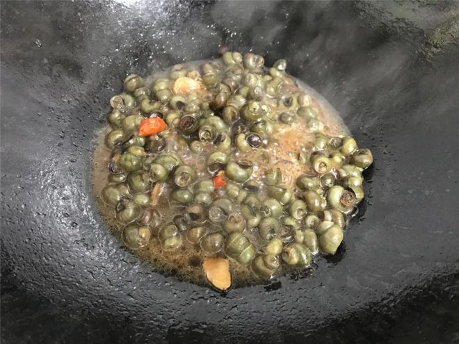 螺蛳是如何进食的_螺蛳怎么生活_螺蛳的生活技巧