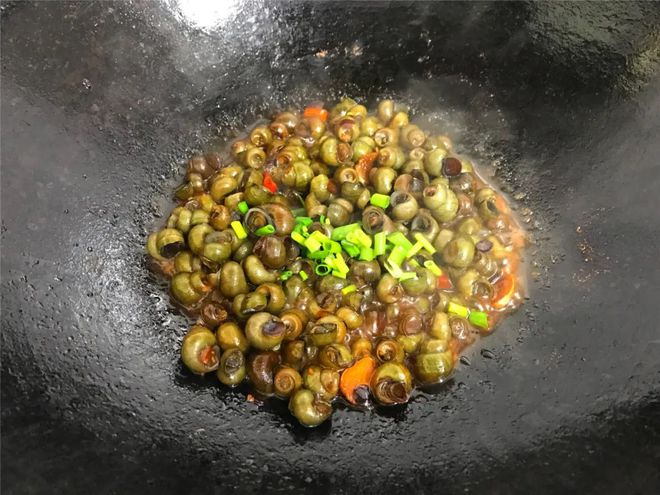 螺蛳是如何进食的_螺蛳怎么生活_螺蛳的生活技巧