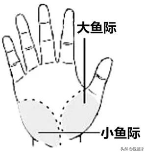篮球技巧用左手_左手篮球技巧用哪只手_左手篮球技巧用几号球