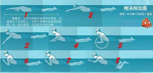 游泳呛水了怎么快速缓解_学游泳有什么技巧不呛水的_游泳呛水急救方法