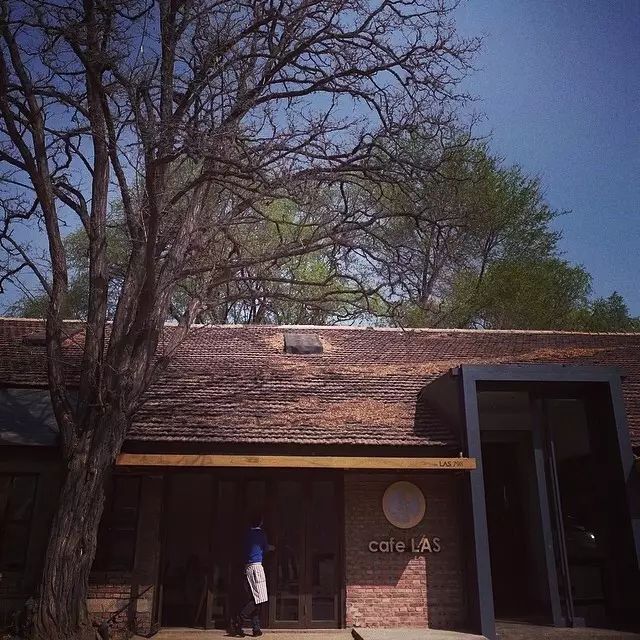 张妈生活小技巧_张妈生活小技巧_张妈生活小技巧