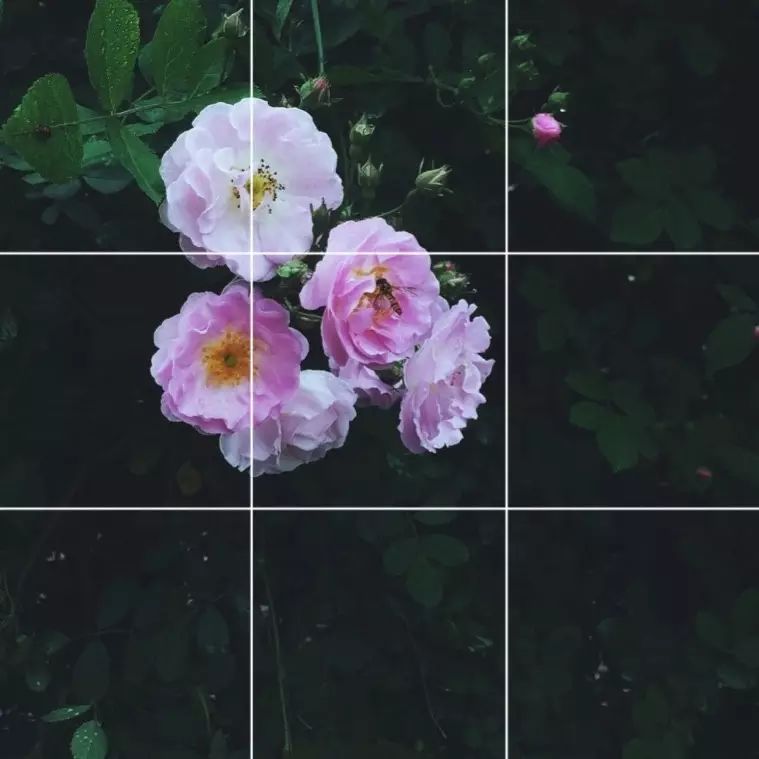 张妈生活小技巧_张妈生活小技巧_张妈生活小技巧