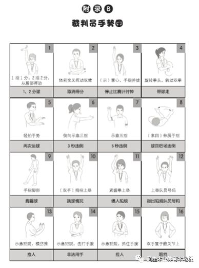 裁判篮球_裁判篮球规则条内容有哪些_篮球裁判规则第25条内容