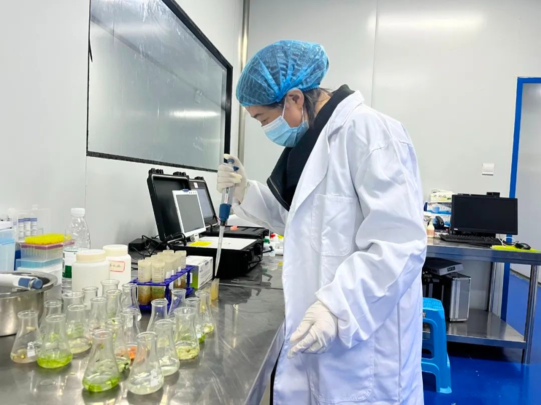 学生营养餐事件_学生营养餐培训内容_连城学生营养餐