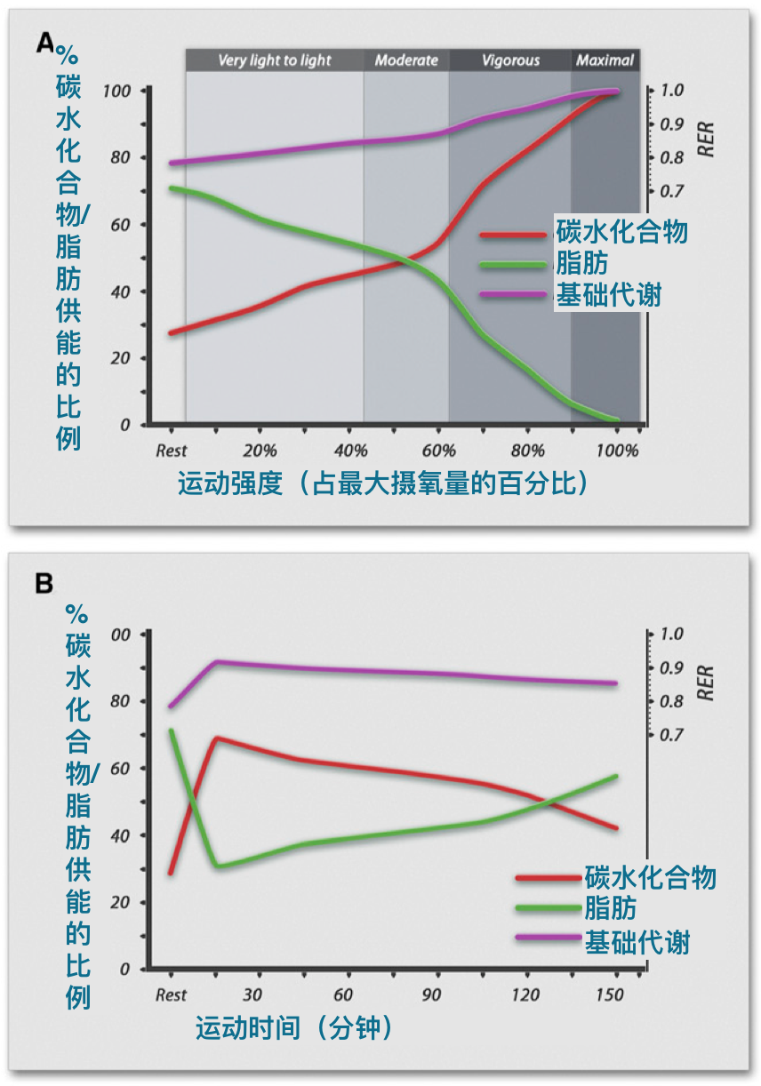运动氧气_运动后过量氧耗_有氧运动超过一个小时